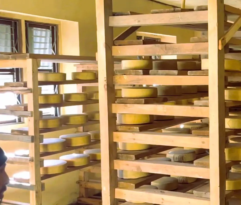Yak Cheese Factory at Kyanjin Gompa