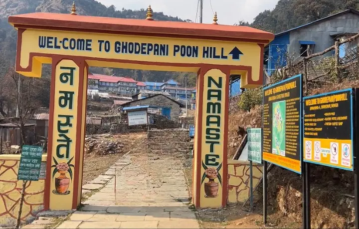 Why is Ghorepani Poon Hill Trek Popular among Trekkers?