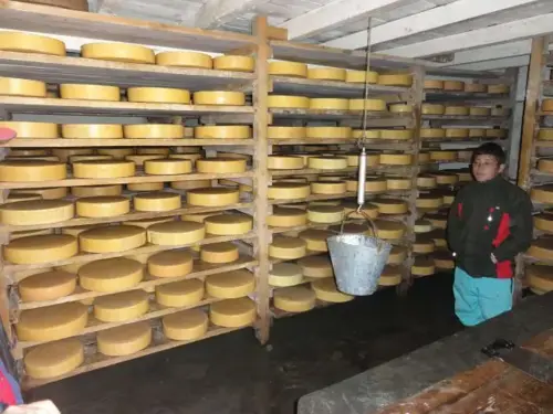 Yak Cheese Production Process in Langtang