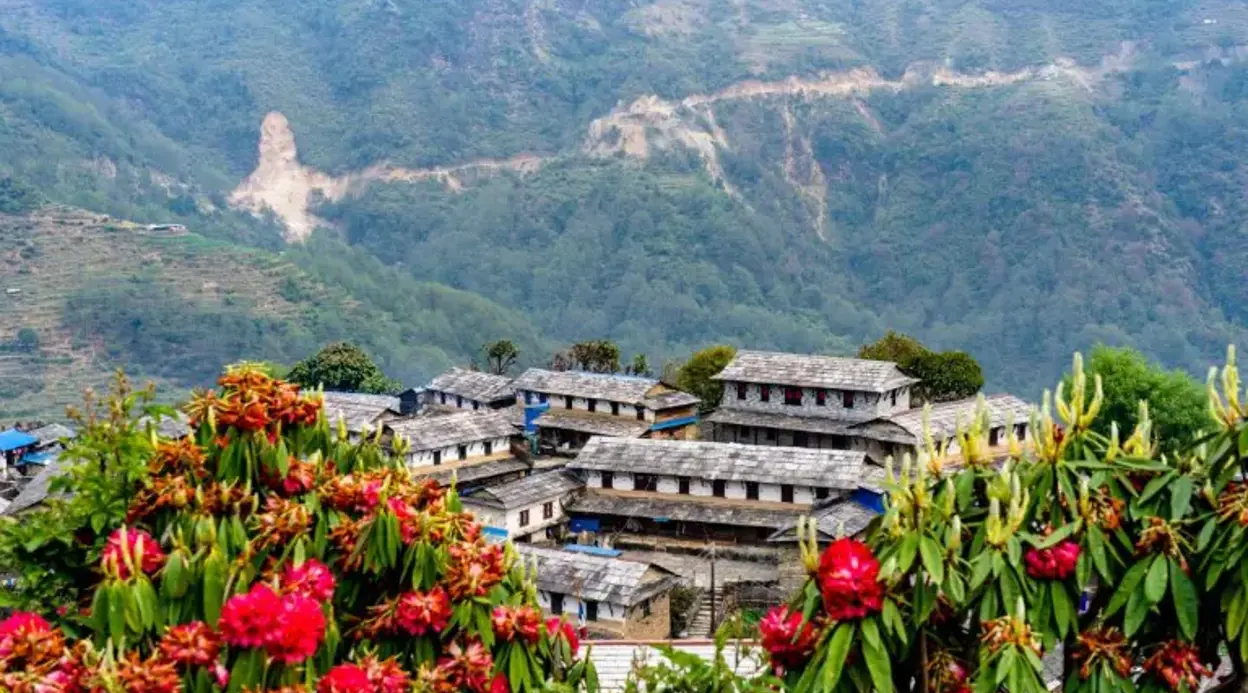 From Oceans to Mountains-9 Days (Nepal Guided Tour) From Oceans to Mountains-9 Days (Nepal Guided Tour)