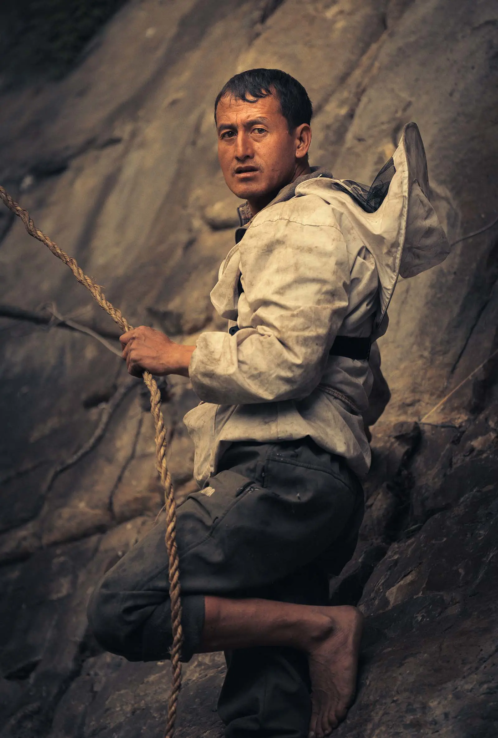 Ethical Harvesting of Mad Honey