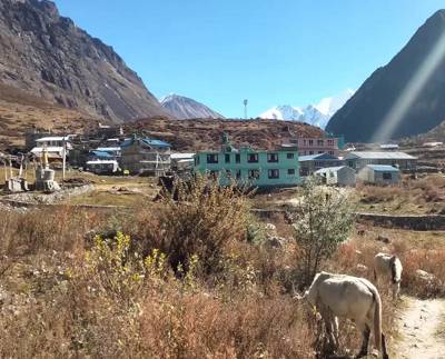 Ghodatabela Village Langtang : Altitude, Weather, Trekking Route, Accommodation & Best Time to Visit Ghodatabela