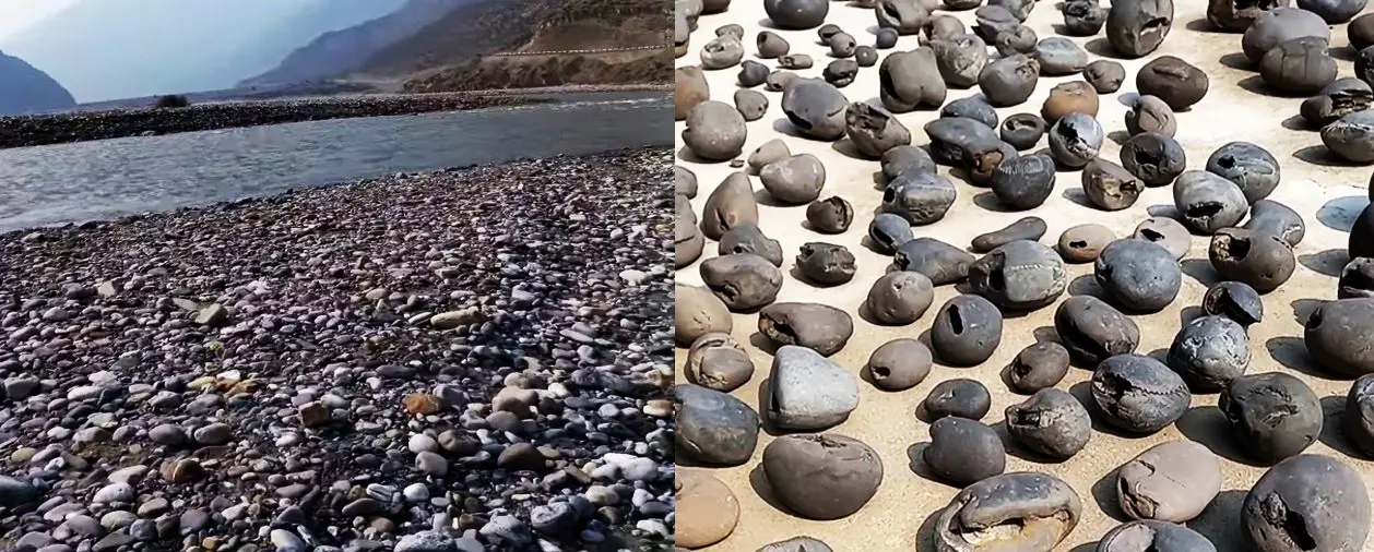 Shaligram Stones.jpg