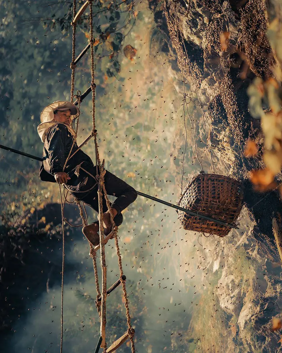 Why Is Mad Honey Rare and Expensive?