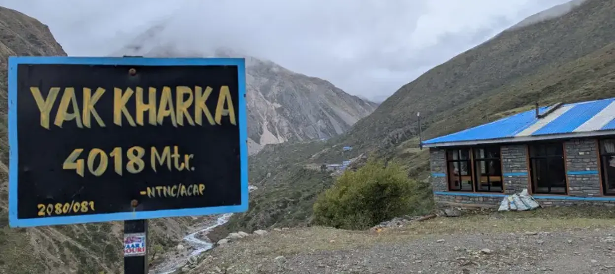 Yak Kharka: Altitude, Trek Guide, Permits, Travel Tips for Annapurna Region and Acclimatization Details