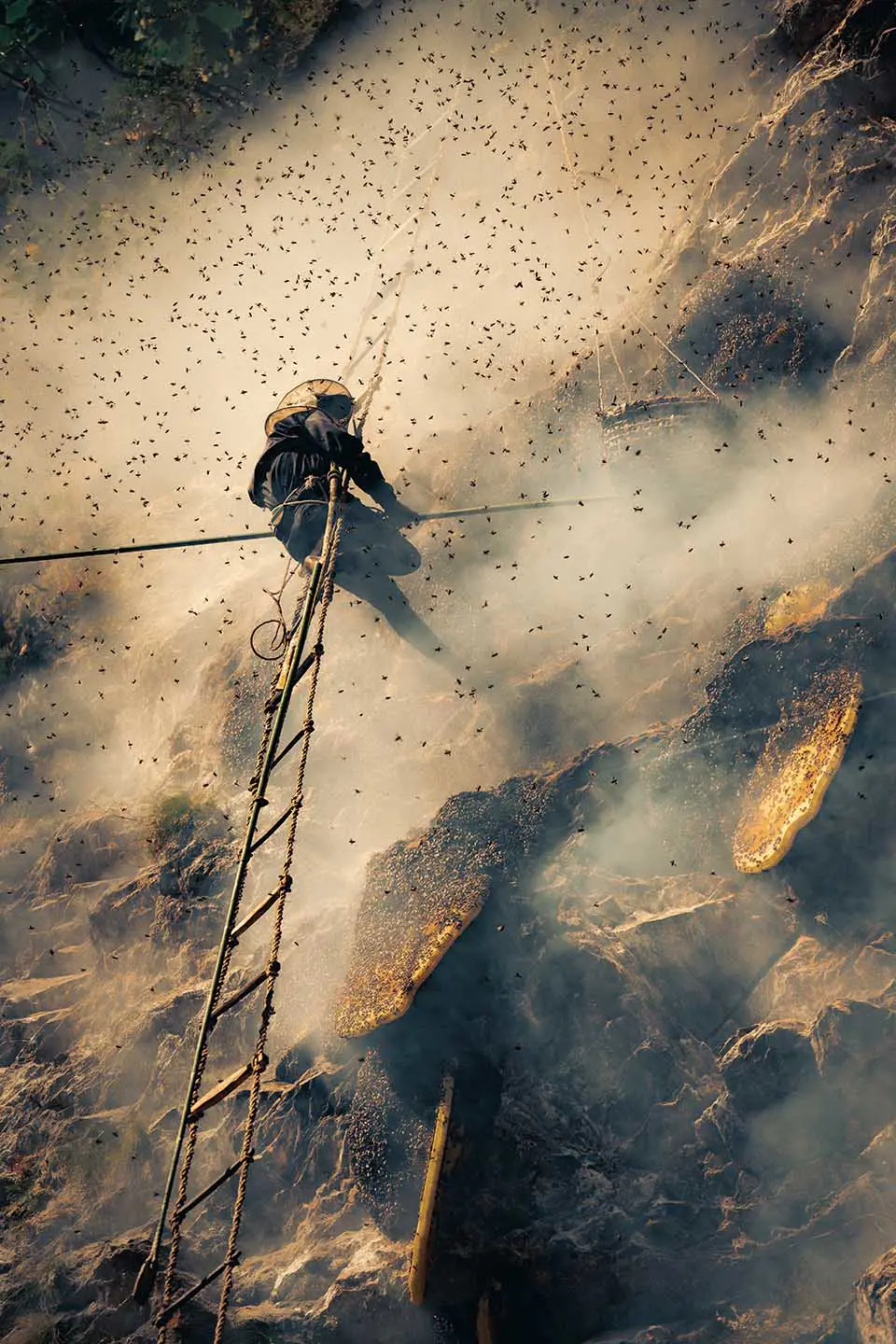 Harvesting Seasons of Mad Honey