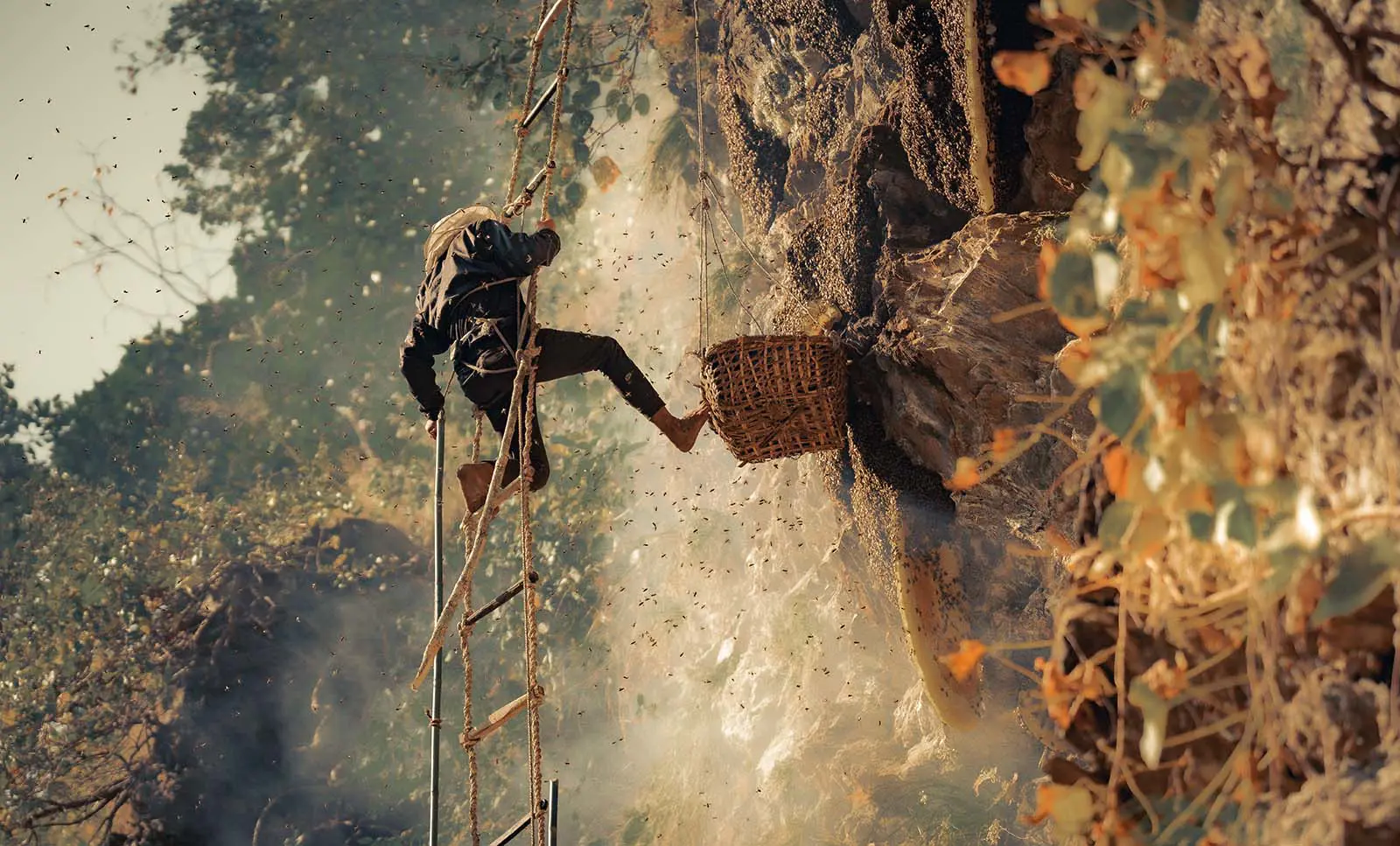 Origins and Cultural Significance of Mad Honey