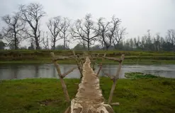 Tiger Tracking Trip in Bardiya – 7 Days