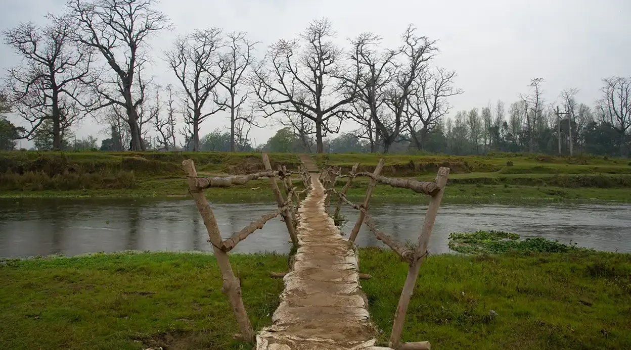 Tiger Tracking Trip in Bardiya – 7 Days