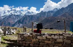 Langtang – Gosaikunda Lauribina Pass Trek- 16 Days