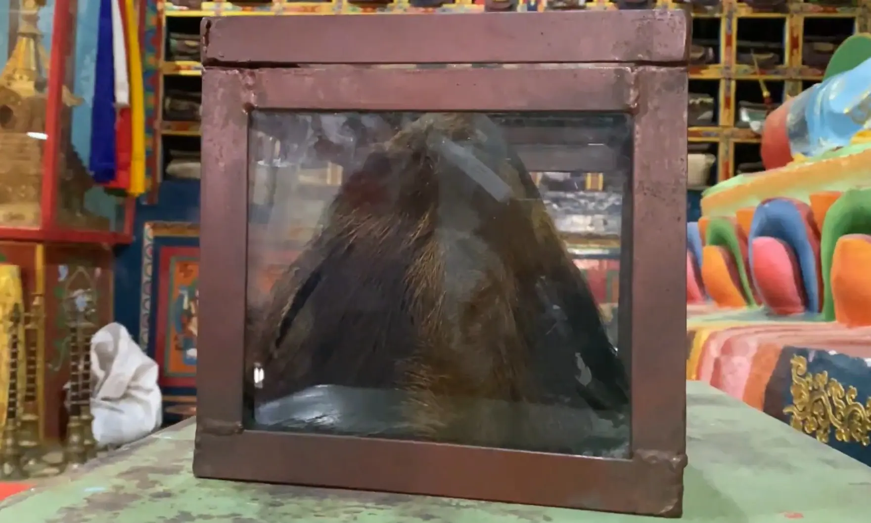 Yeti Scalp in Khumjung Monastery